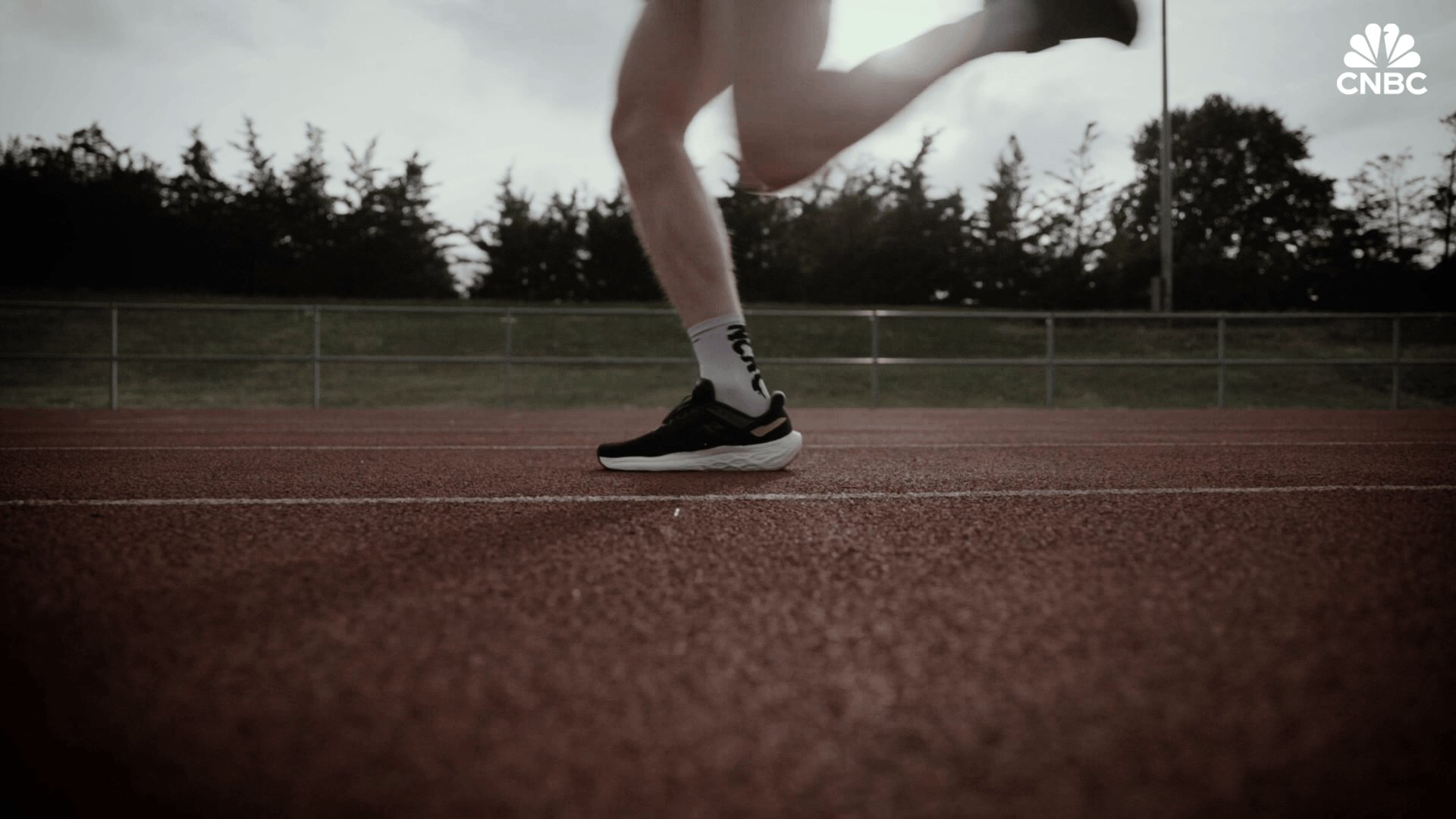 The Business of Elite Athletes still